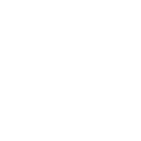 interIcon