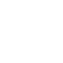 seoIcon